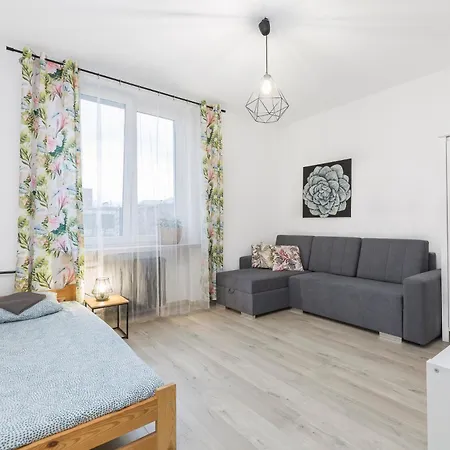 Art Muzealny Apartamento Breslavia