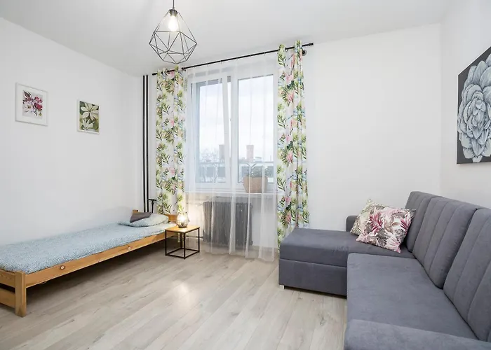 Art Muzealny Breslavia